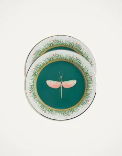 Dinner Plates Set Of 2