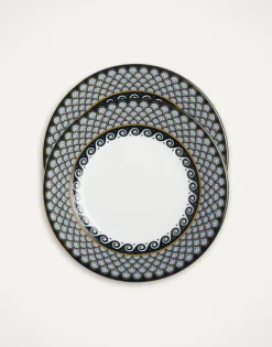 Dinner Plates Set Of 2