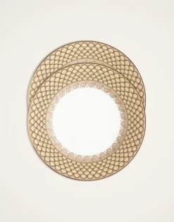 Dinner Plates Set Of 2