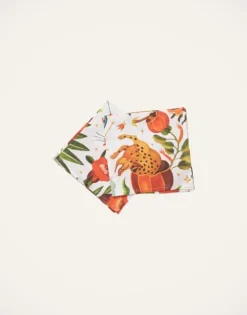 Large Napkins Set Of 2 (45X45)