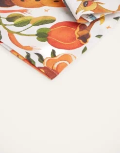 Large Napkins Set Of 2 (45X45)
