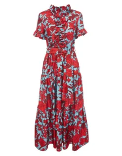 Long and Sassy Dress