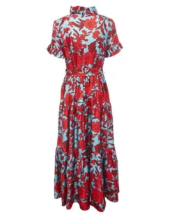 Long and Sassy Dress