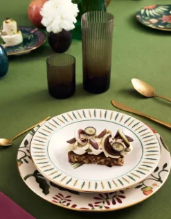 Dinner Plates Set Of 2