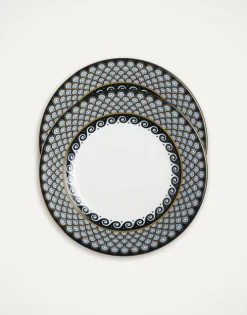 Dinner Plates Set Of 2