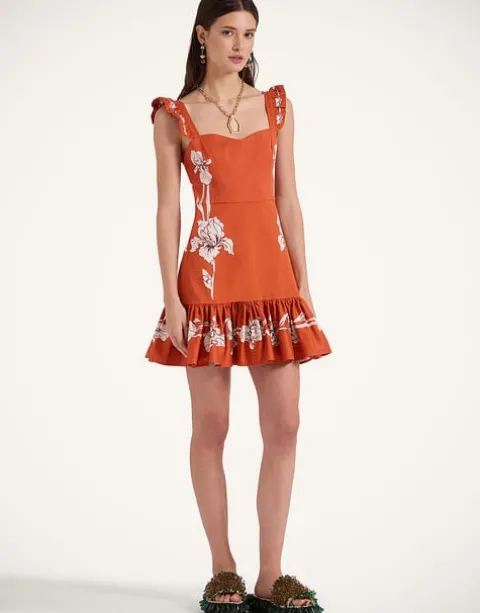 Mini Gingerbread Dress